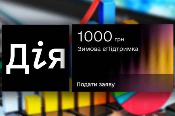 У Дії надали статистику використання коштів наданих в межах "Зимової єПідтримки" / Колаж: bank.co.ua